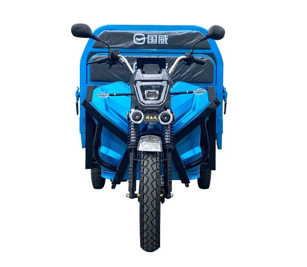 Electric Adult Tricycles