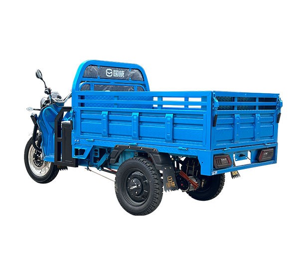 Electric Adult Tricycles