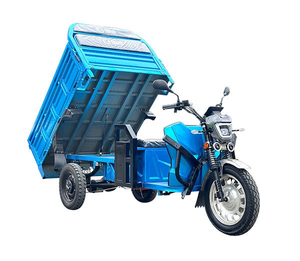 Electric Adult Tricycles