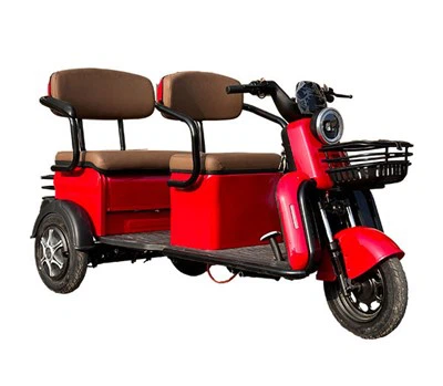 Electric Mobility Trike