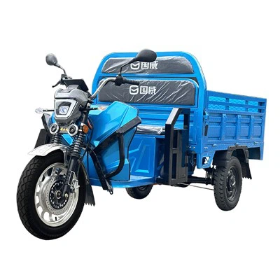 2025 New Cargo Tricycle Electric Scooter Easy Electric Tricycle Ambulance Tricycle