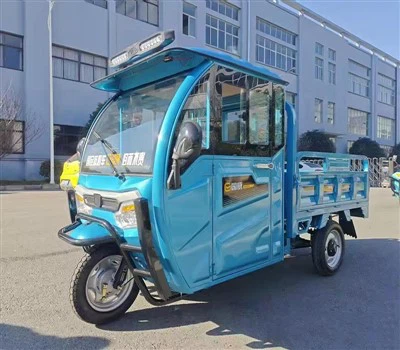 Electric Cargo Tricycle With Shed