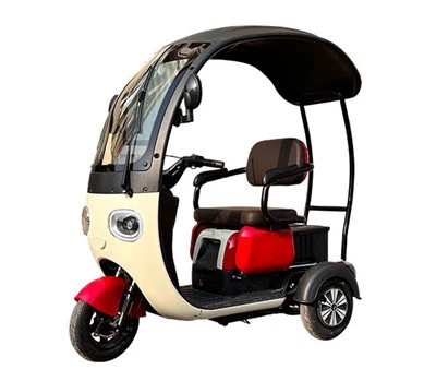 Elderly Electric Tricycle