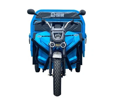 Electric Adult Tricycles