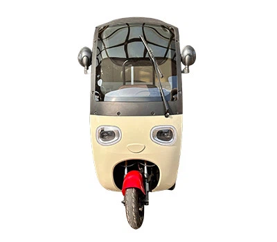 Electric Tricycle With Shed