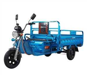 Electric Tricycle For Cargo