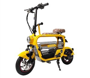 Lithium Foldable Bicycle